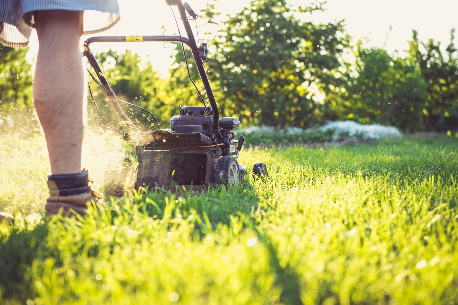 Gardener maintaining a landscaped garden