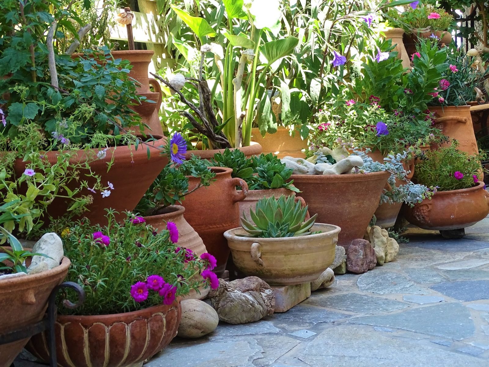 Healthy plants and trees at the nursery