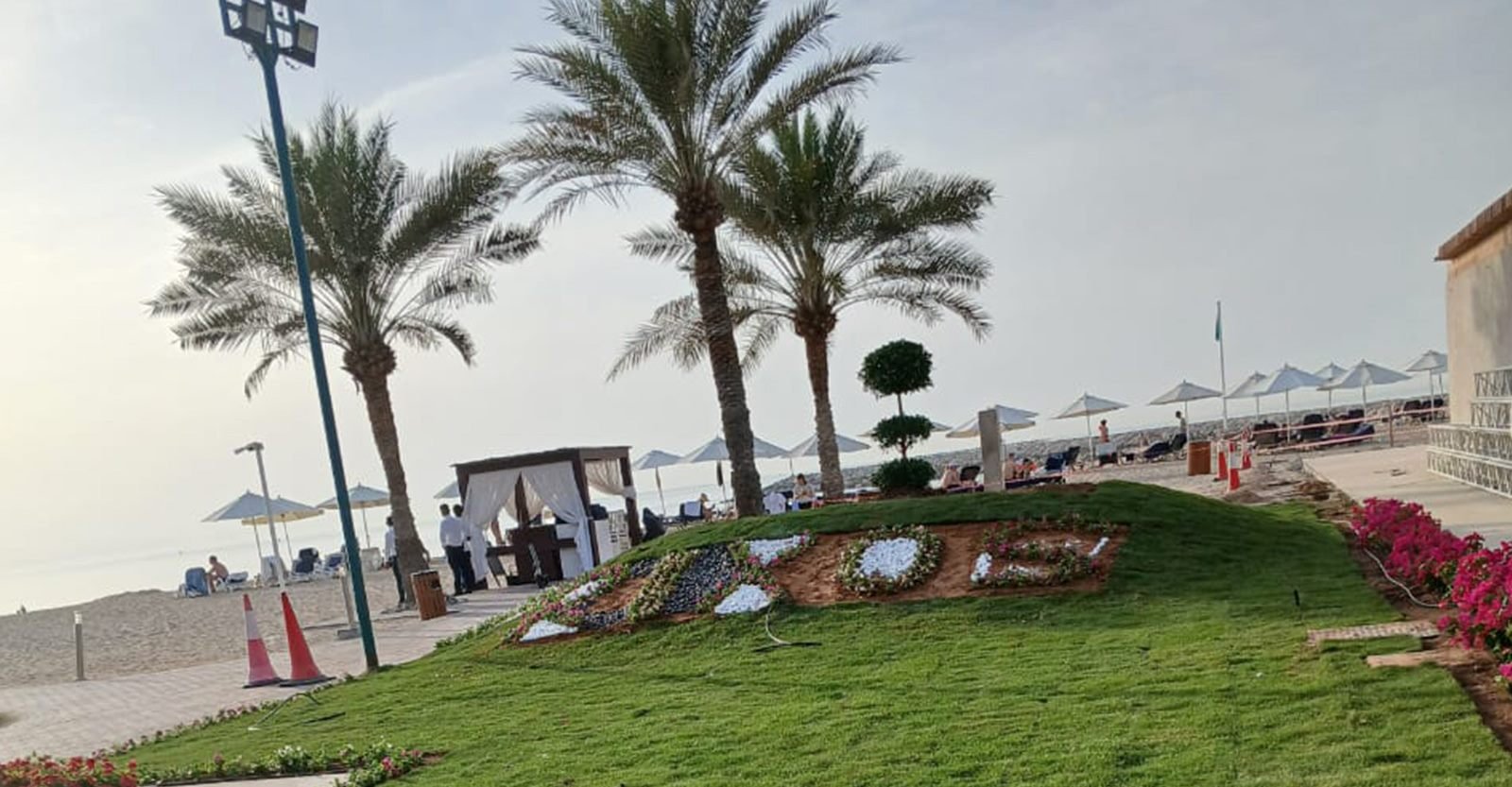 Beachfront promenade landscaping with palms and lawn